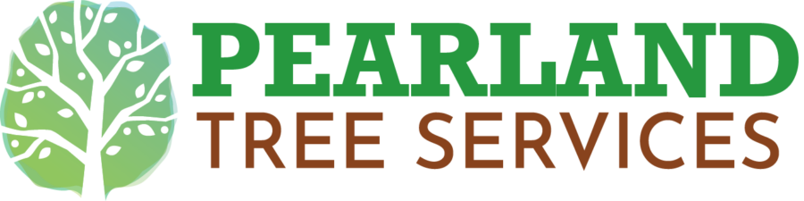 Pearland Tree Services